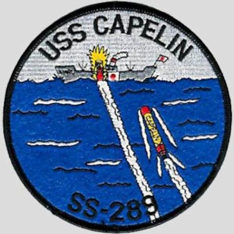 USS Caplin SS-289